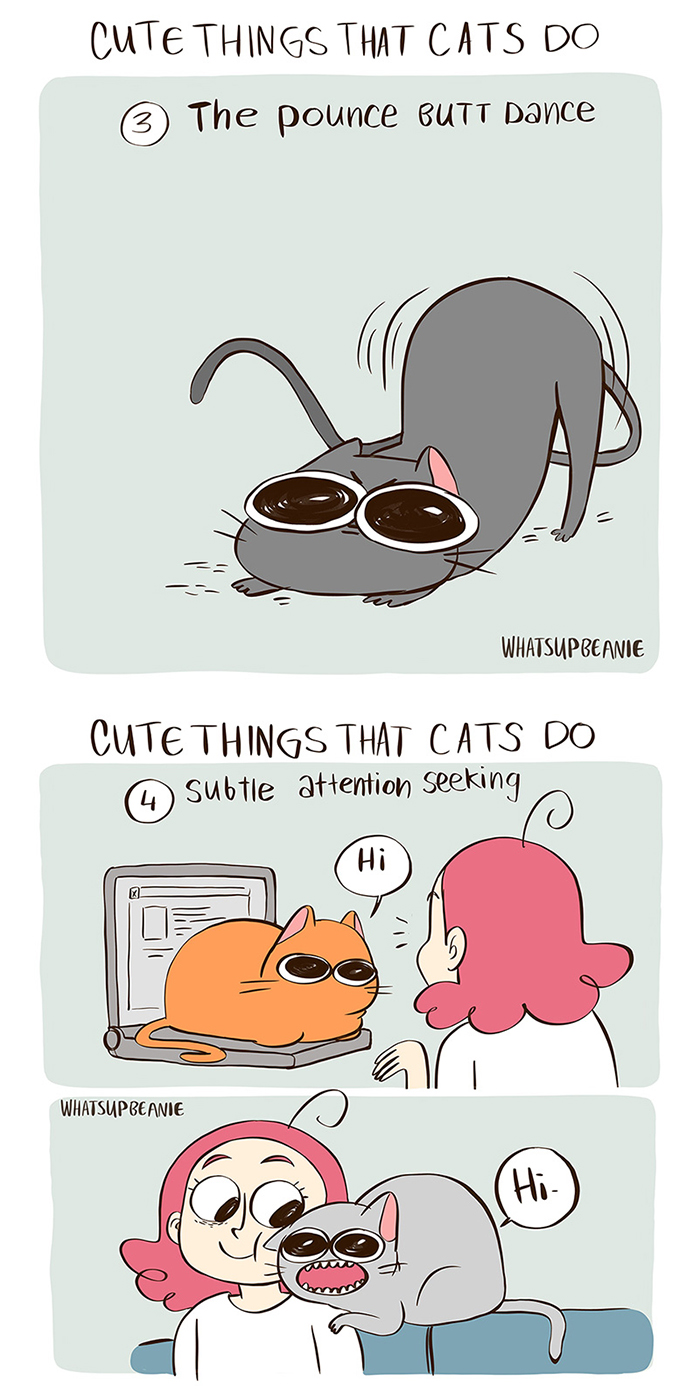 My 13 Wholesome Comics About Cats And Dogs