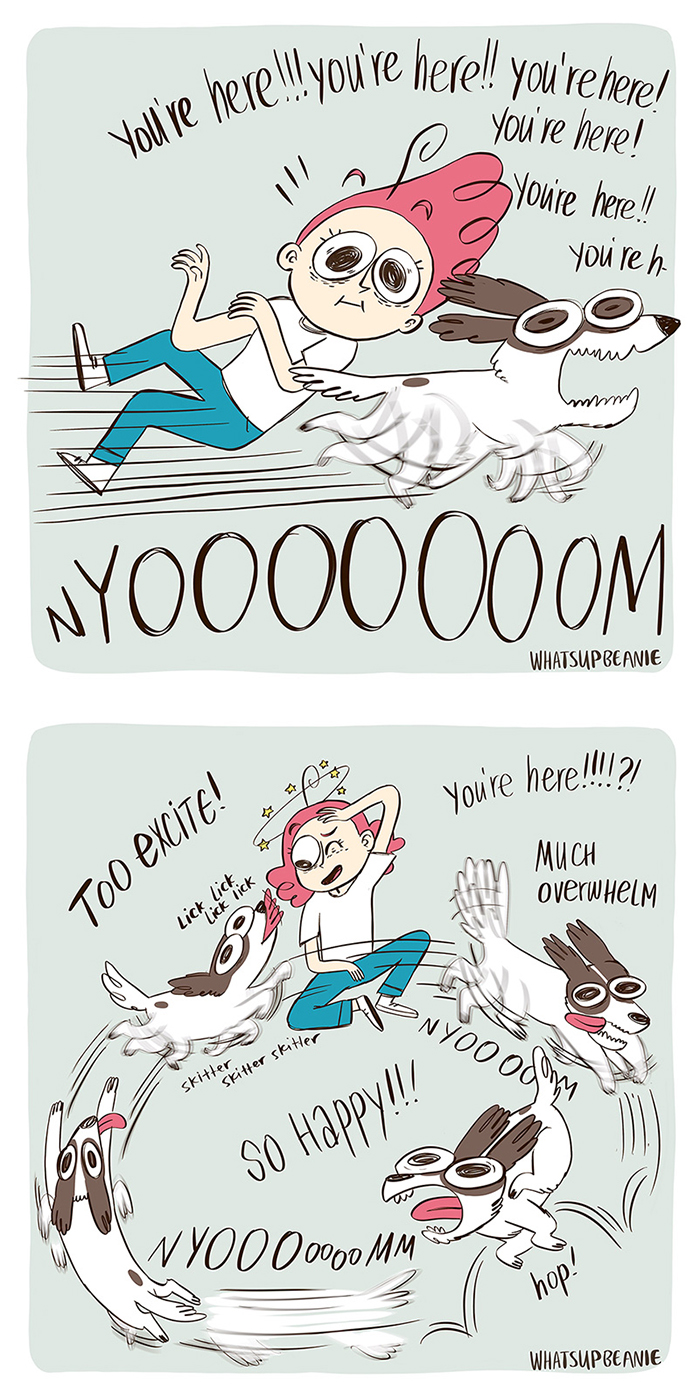 My 13 Wholesome Comics About Cats And Dogs