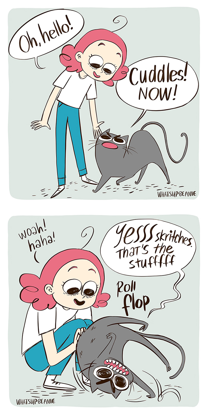 My 13 Wholesome Comics About Cats And Dogs My 13 Wholesome Comics About Cats And Dogs
