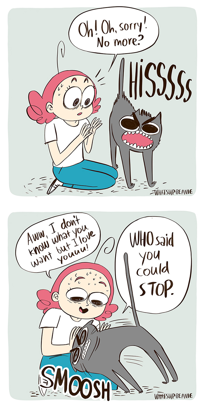 My 13 Wholesome Comics About Cats And Dogs My 13 Wholesome Comics About Cats And Dogs