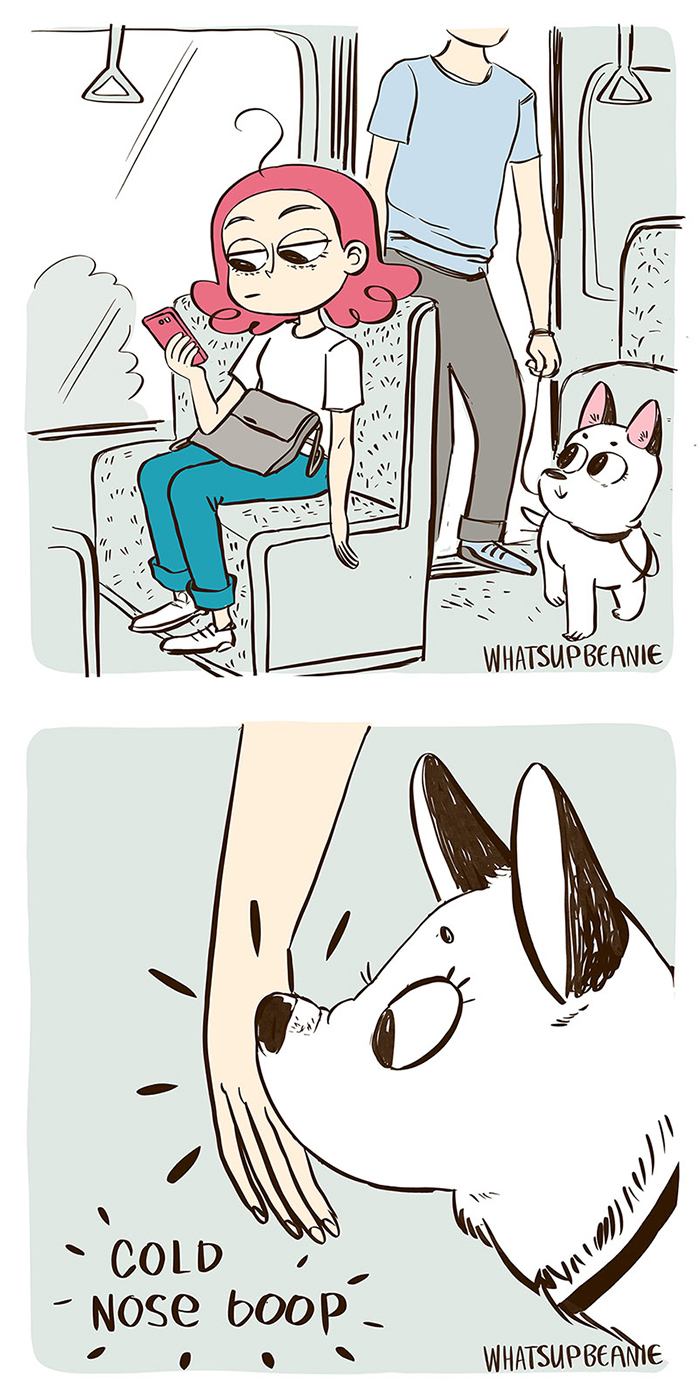 My 13 Wholesome Comics About Cats And Dogs