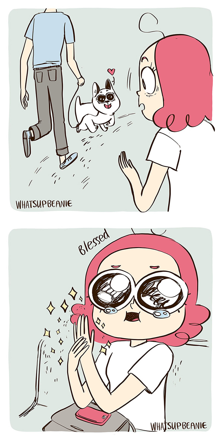 My 13 Wholesome Comics About Cats And Dogs My 13 Wholesome Comics About Cats And Dogs