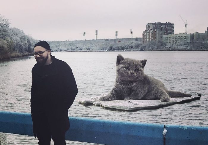 Russian-Artist-Photoshops-Giant-Cats-Odnoboko