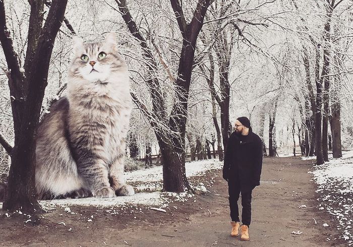 Russian-Artist-Photoshops-Giant-Cats-Odnoboko
