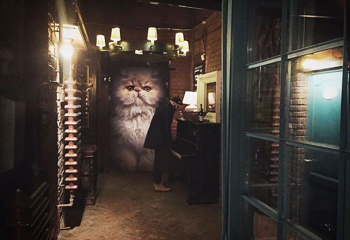 Russian-Artist-Photoshops-Giant-Cats-Odnoboko