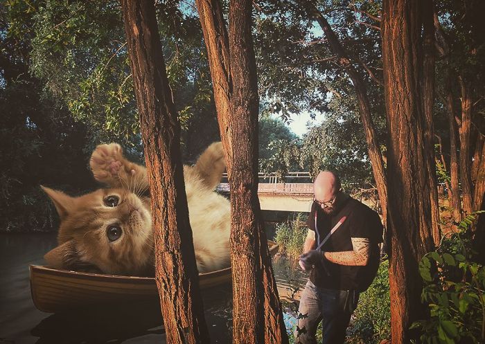 Russian-Artist-Photoshops-Giant-Cats-Odnoboko