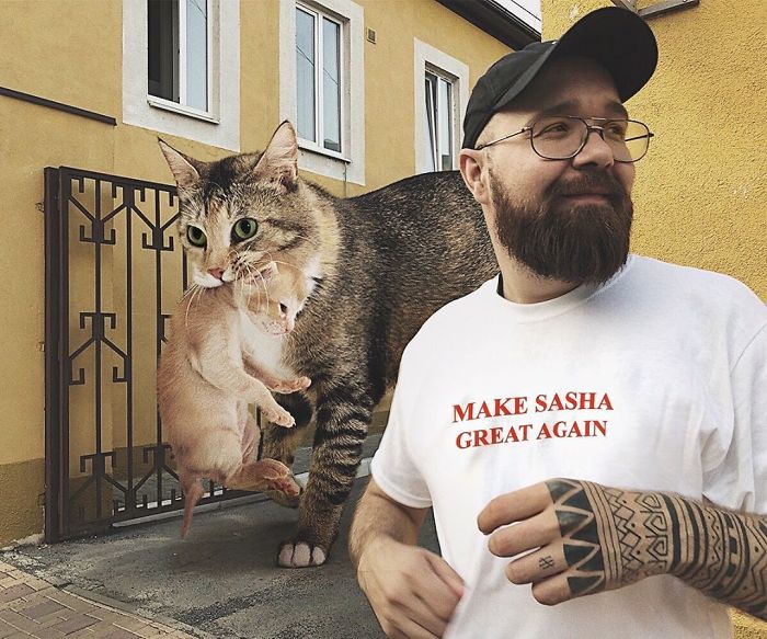 Russian-Artist-Photoshops-Giant-Cats-Odnoboko
