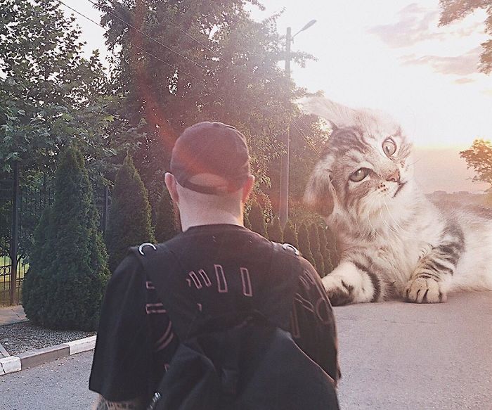 Russian-Artist-Photoshops-Giant-Cats-Odnoboko