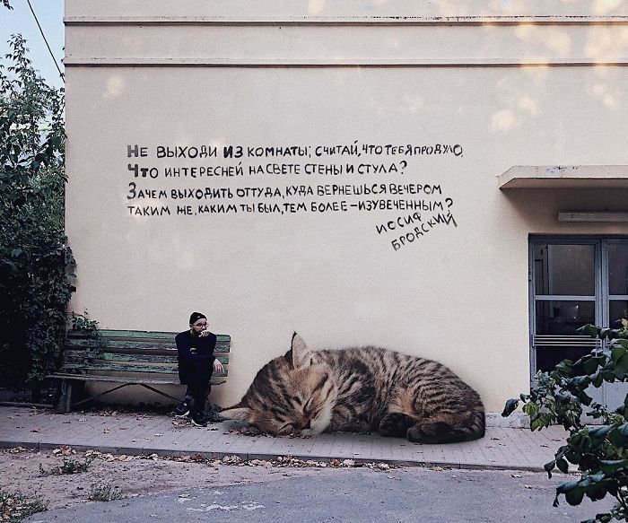 Russian-Artist-Photoshops-Giant-Cats-Odnoboko