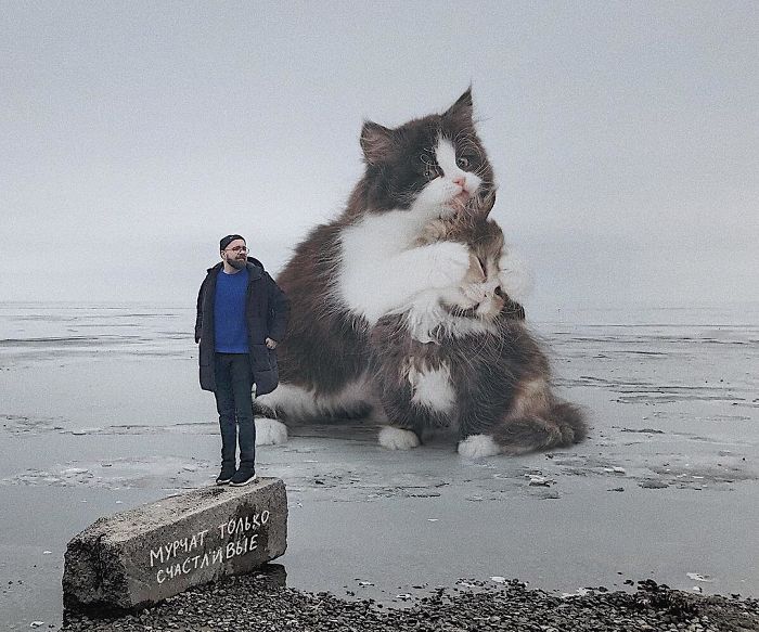 Russian-Artist-Photoshops-Giant-Cats-Odnoboko