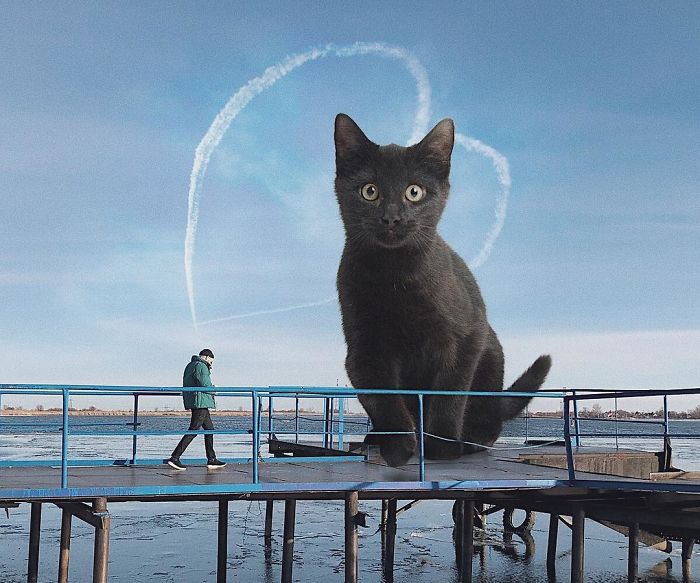 Russian-Artist-Photoshops-Giant-Cats-Odnoboko