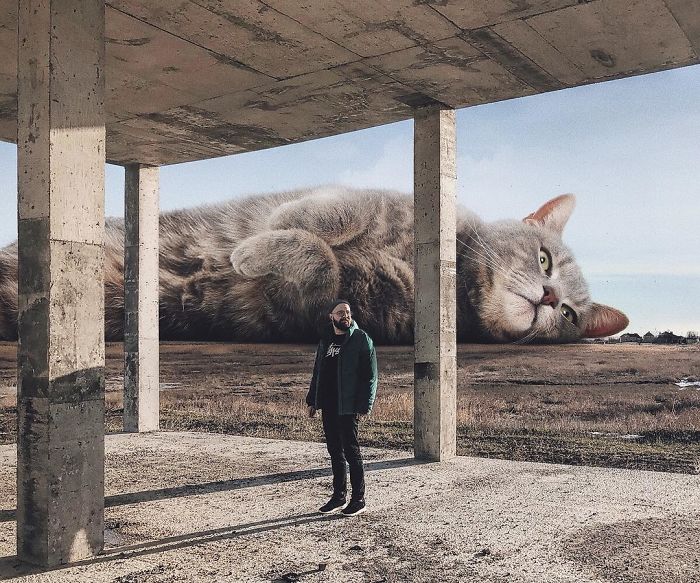 Russian-Artist-Photoshops-Giant-Cats-Odnoboko