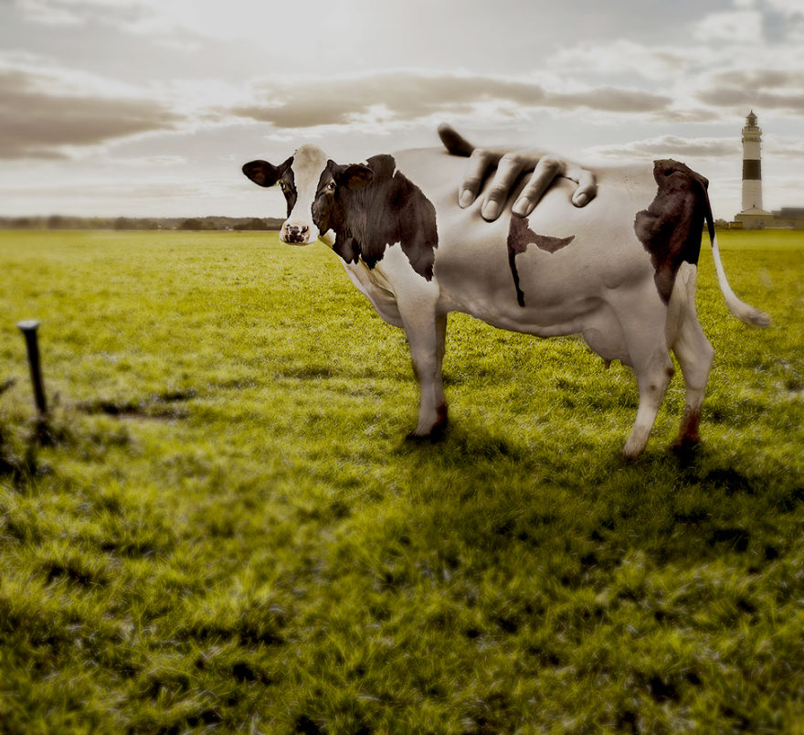 My World Surreal Art