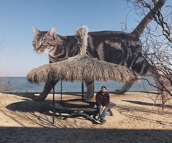 Russian-Artist-Photoshops-Giant-Cats-Odnoboko