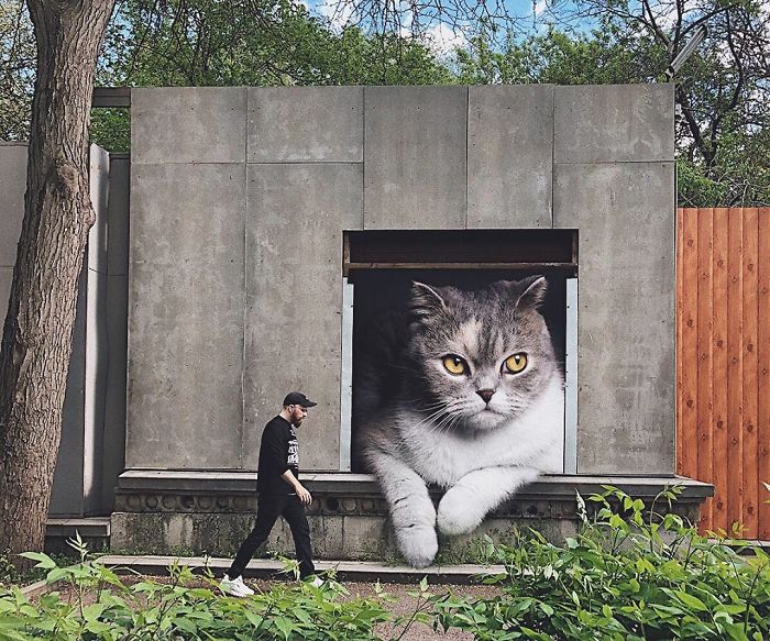 Russian-Artist-Photoshops-Giant-Cats-Odnoboko