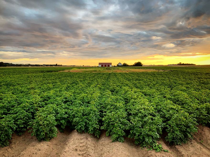 My Summer In Sweden Was Surreal, And Here Are 14 Photos That Prove My Point