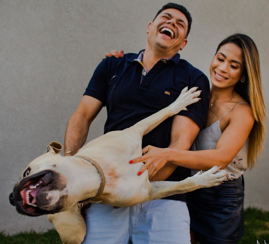 Couple Brings Their Dog To Their Pre-Wedding Photoshoot, And The Result Is Hilarious (10 Pics) Couple Brings Their Dog To Their Pre-Wedding Photoshoot, And The Result Is Hilarious (10 Pics)