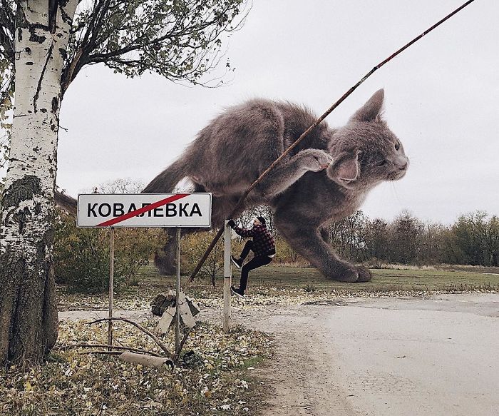 Russian-Artist-Photoshops-Giant-Cats-Odnoboko