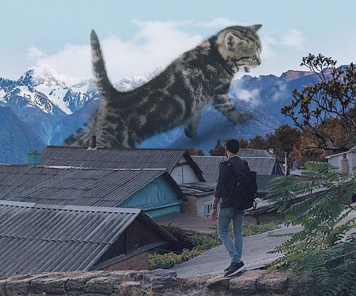 Russian-Artist-Photoshops-Giant-Cats-Odnoboko