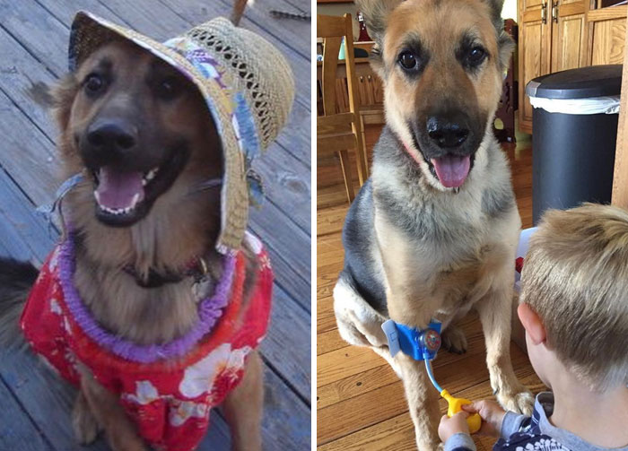 Look, He’s Got No One To Blame But Himself. Waste Away In Margaritaville For Too Long And You End Up At The Doctor’s Office!