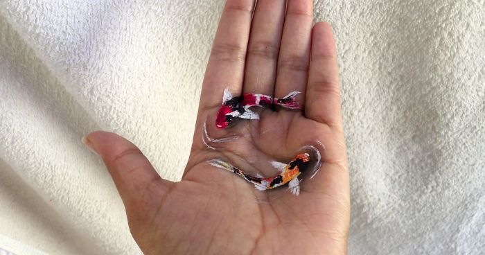 I Create Temporary 3D Paintings On My Left Hand (New Pics)