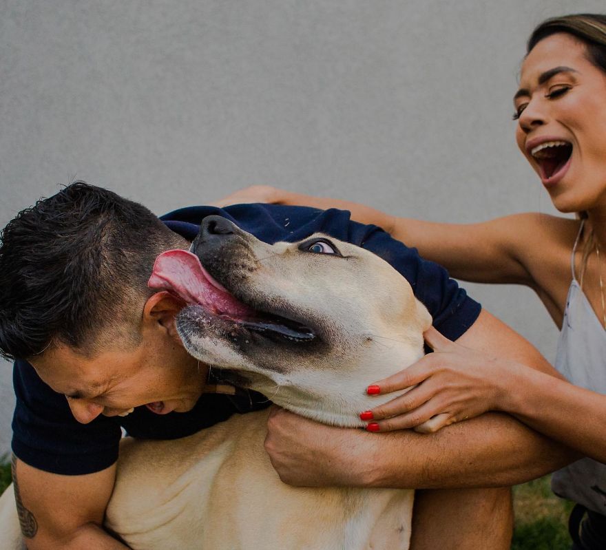 Couple Brings Their Dog To Their Pre-Wedding Photoshoot, And The Result Is Hilarious (10 Pics) Couple Brings Their Dog To Their Pre-Wedding Photoshoot, And The Result Is Hilarious (10 Pics)