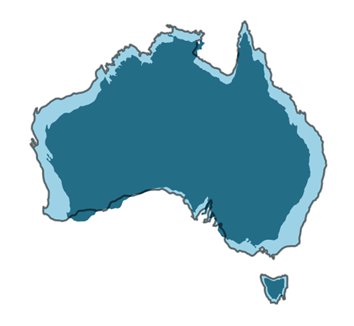 After Seeing This Map With The Actual Size Of Every Country, You'll Never Look At The World The Same