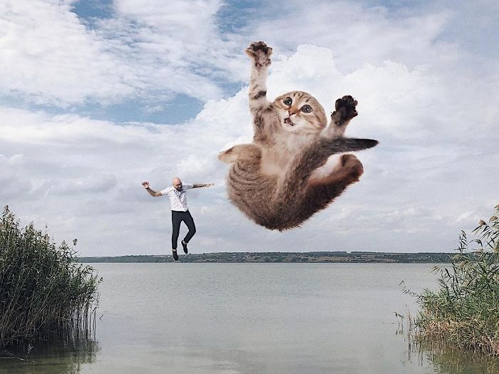 Russian-Artist-Photoshops-Giant-Cats-Odnoboko