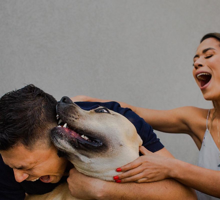 Couple Brings Their Dog To Their Pre-Wedding Photoshoot, And The Result Is Hilarious (10 Pics) Couple Brings Their Dog To Their Pre-Wedding Photoshoot, And The Result Is Hilarious (10 Pics)