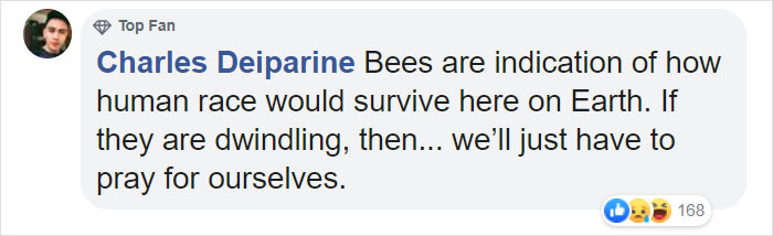500 Million Bees Have Already Died In Brazil Within Three Months And The Future Of Our Food Is In Question