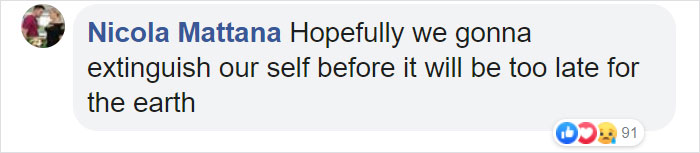 500 Million Bees Have Already Died In Brazil Within Three Months And The Future Of Our Food Is In Question