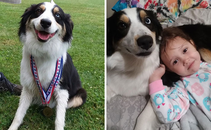 Neither Of Them Seems Particularly Pleased With This New Arrangement