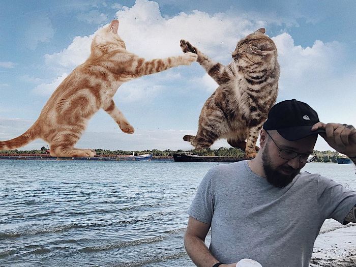Russian-Artist-Photoshops-Giant-Cats-Odnoboko