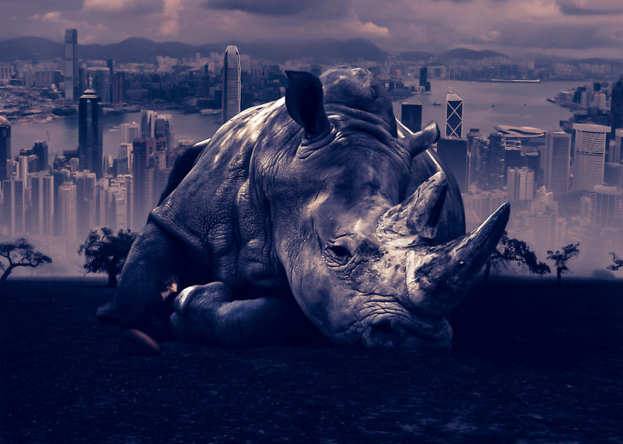 My World Surreal Art My World Surreal Art