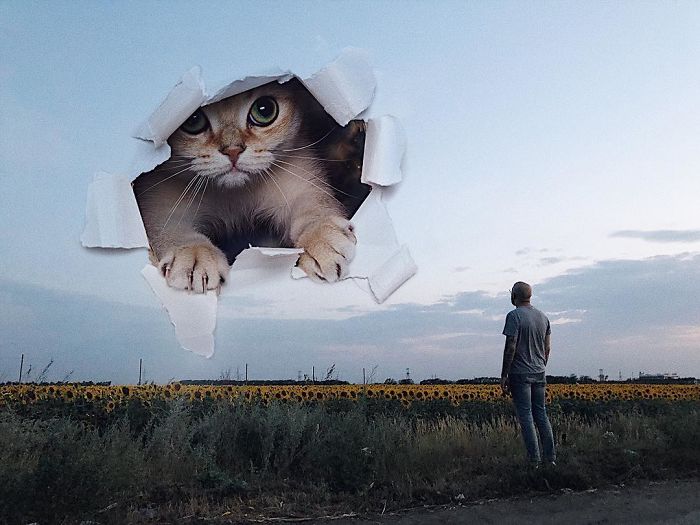 Russian-Artist-Photoshops-Giant-Cats-Odnoboko