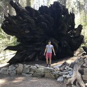 nico-andre-schmid avatar