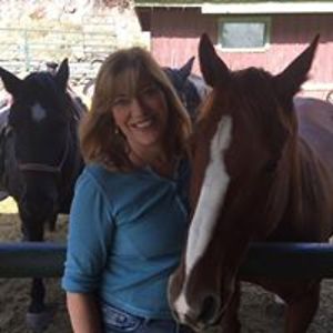 alison_snowden avatar