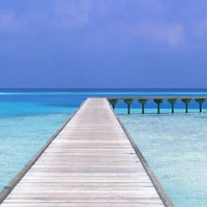 deneaousnamer avatar