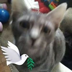 miss_chuff2000 avatar