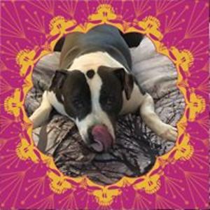 ed_maurer1984 avatar