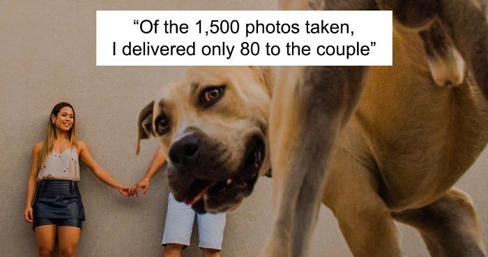 Couple Brings Their Dog To Their Pre-Wedding Photoshoot, And The Result Is Hilarious (10 Pics)