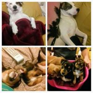 melaniedavison1982 avatar