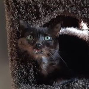 four_people_1998 avatar