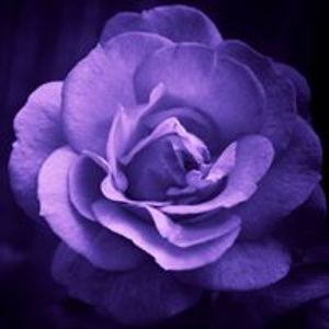 emilymhanson3 avatar