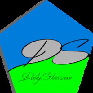 dailysteer avatar