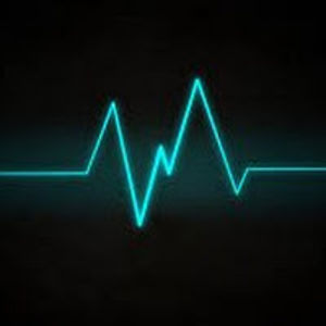 whiploadchannel avatar