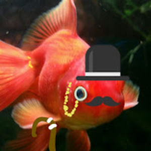 eloisevincent avatar