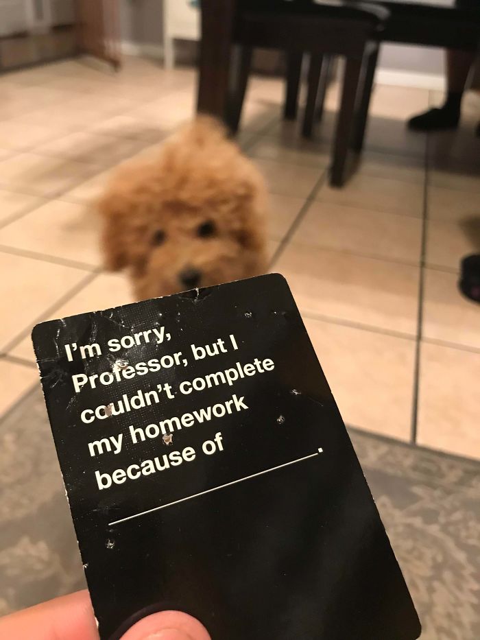 Ironic That My Pup Chewed Up This Specific Cards Against Humanity Card