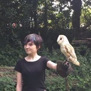 pauline_mccann avatar