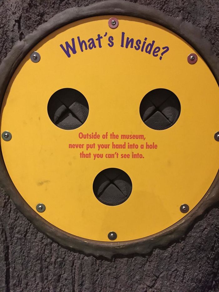 Solid Life Advice From The Local Museum